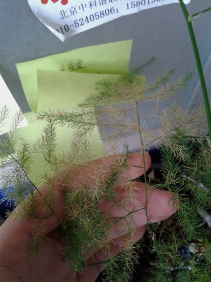 20140421_140449.jpg