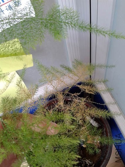 20140421_140501.jpg