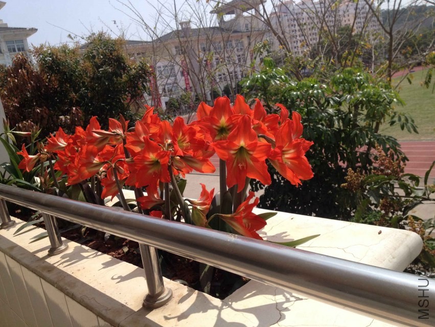 IMG_6275.JPG