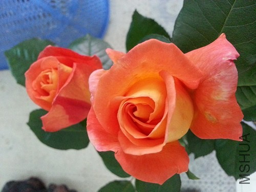 20140420_135148.jpg