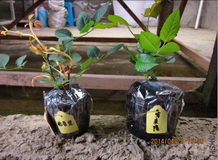 QQͼƬ20140421163524.jpg