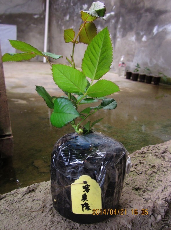 QQͼƬ20140421163528.jpg