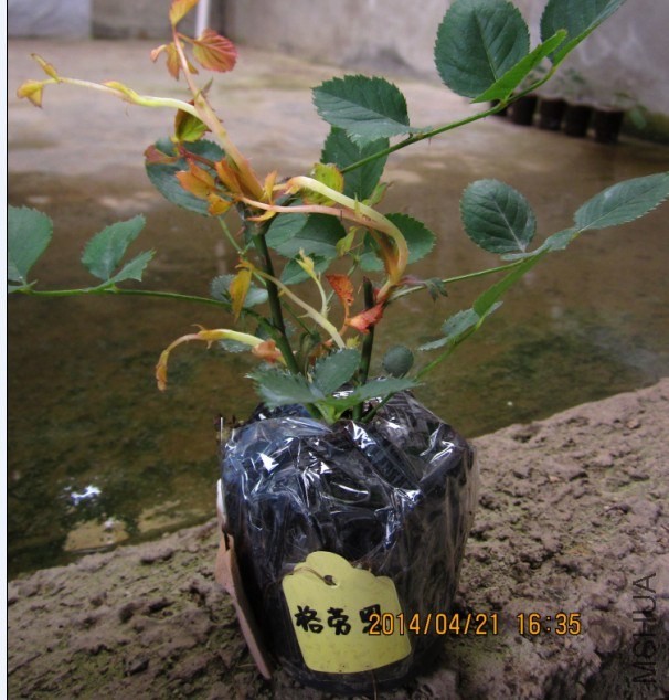 QQͼƬ20140421163531.jpg