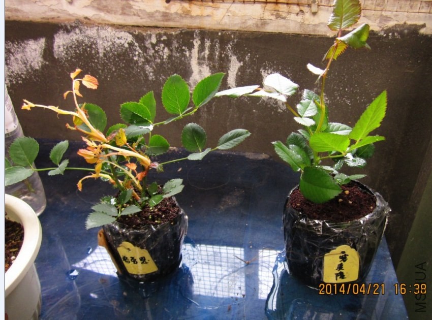 QQͼƬ20140421163535.jpg