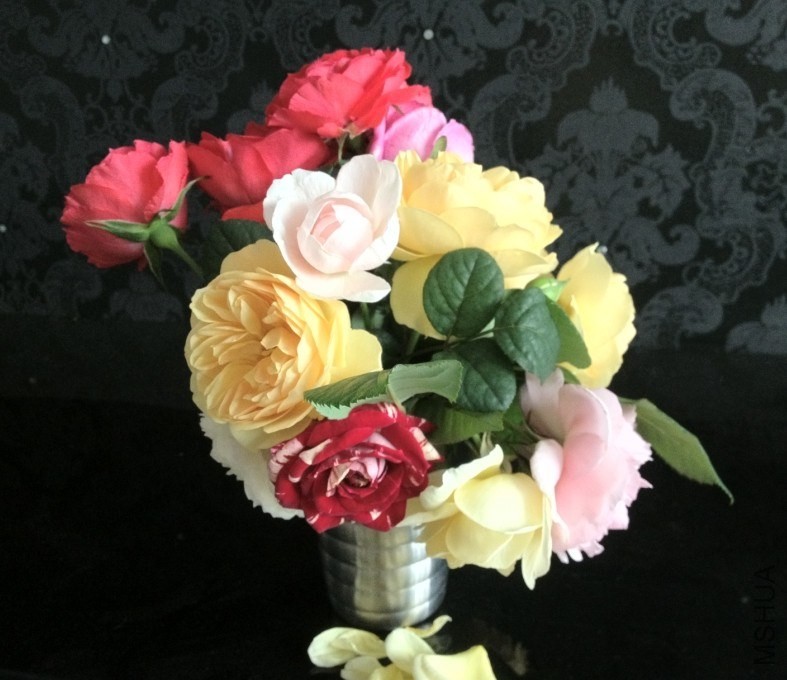 QQͼƬ20140421164947.jpg