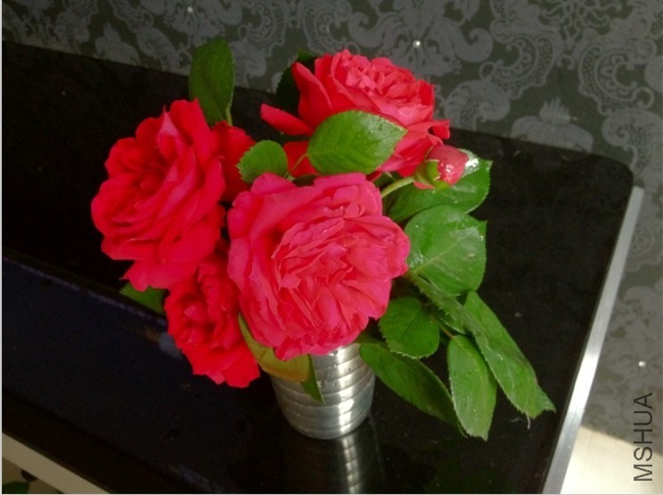 QQͼƬ20140319143807.jpg