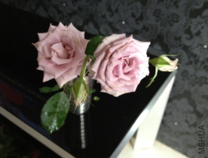 QQͼƬ20140421164809.jpg