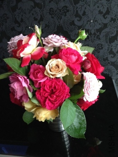 һ�����ں��ȥ�ջ�����ˡ�