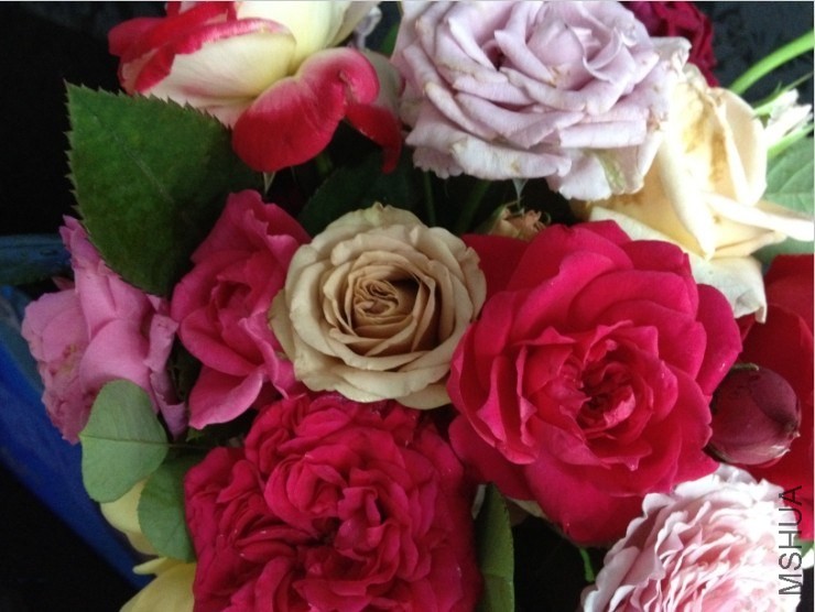 QQͼƬ20140421164906.jpg