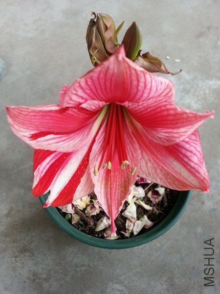20140420_170930.jpg