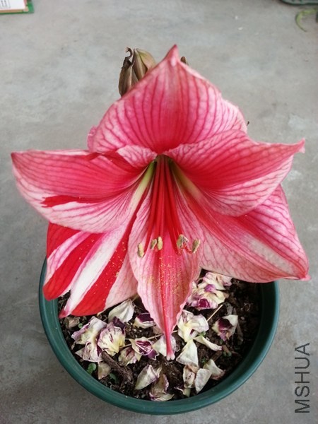 20140420_170934.jpg