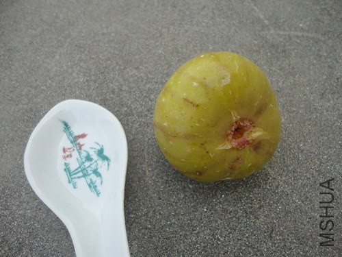 �޻���5.jpg