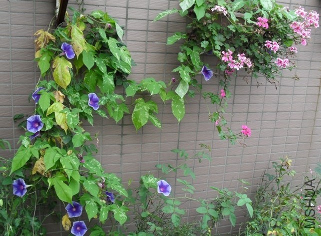 QQͼƬ20140421204532.jpg