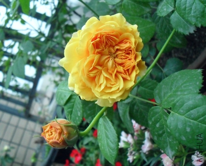 QQͼƬ20140421205001.jpg