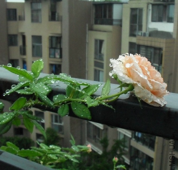 QQͼƬ20140421205411.jpg