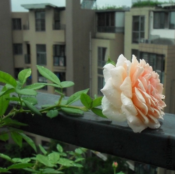 QQͼƬ20140421205435.jpg