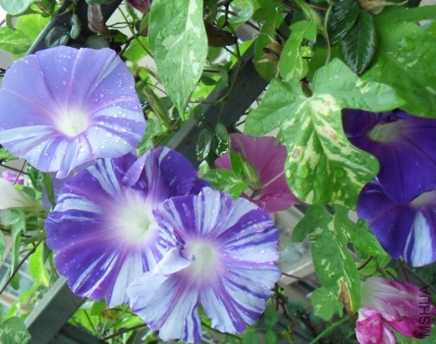 QQͼƬ20140421205515.jpg