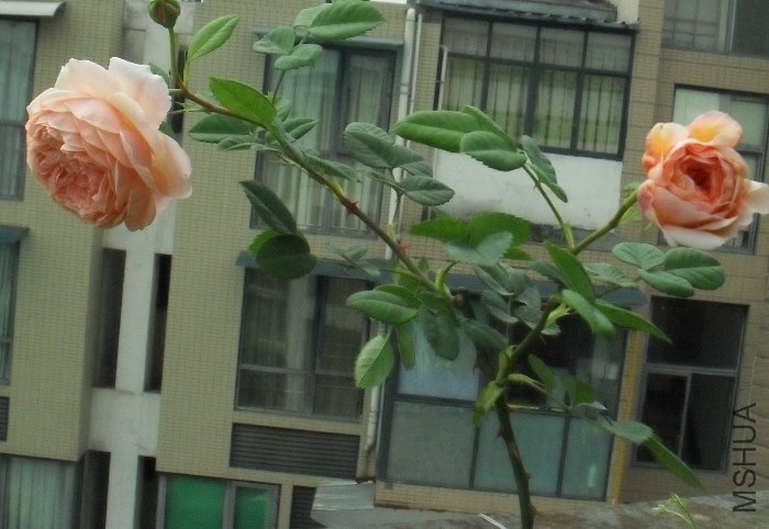 QQͼƬ20140421211217.jpg