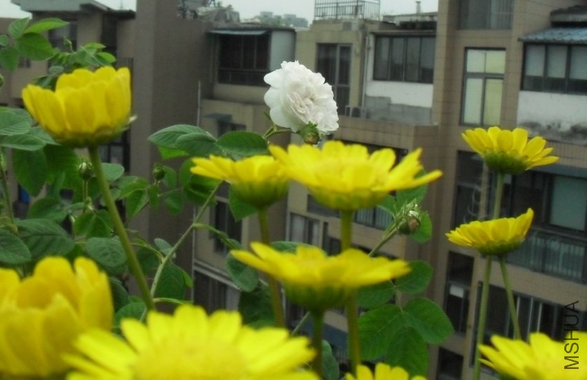 QQͼƬ20140421211155.jpg