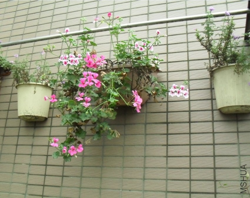 QQͼƬ20140421211104.jpg