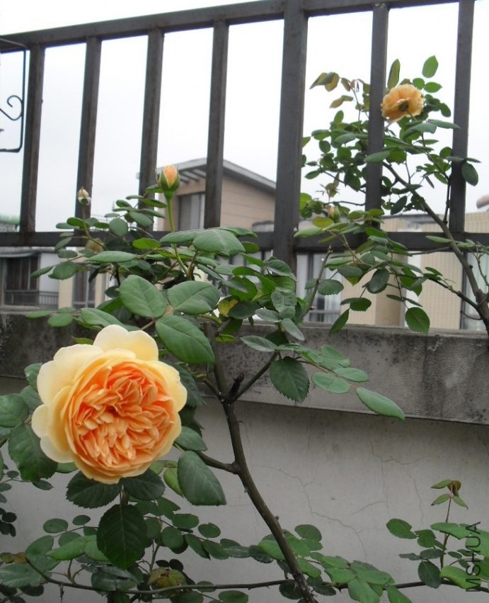 QQͼƬ20140421211034.jpg