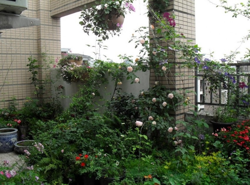 QQͼƬ20140421211011.jpg