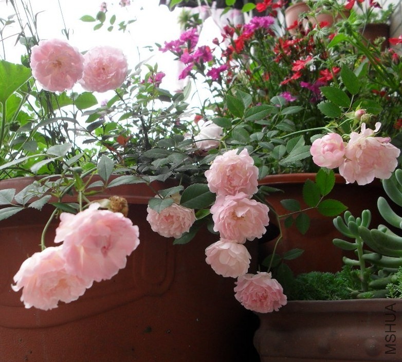 QQͼƬ20140421210853.jpg