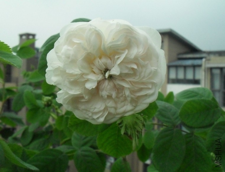QQͼƬ20140421210407.jpg