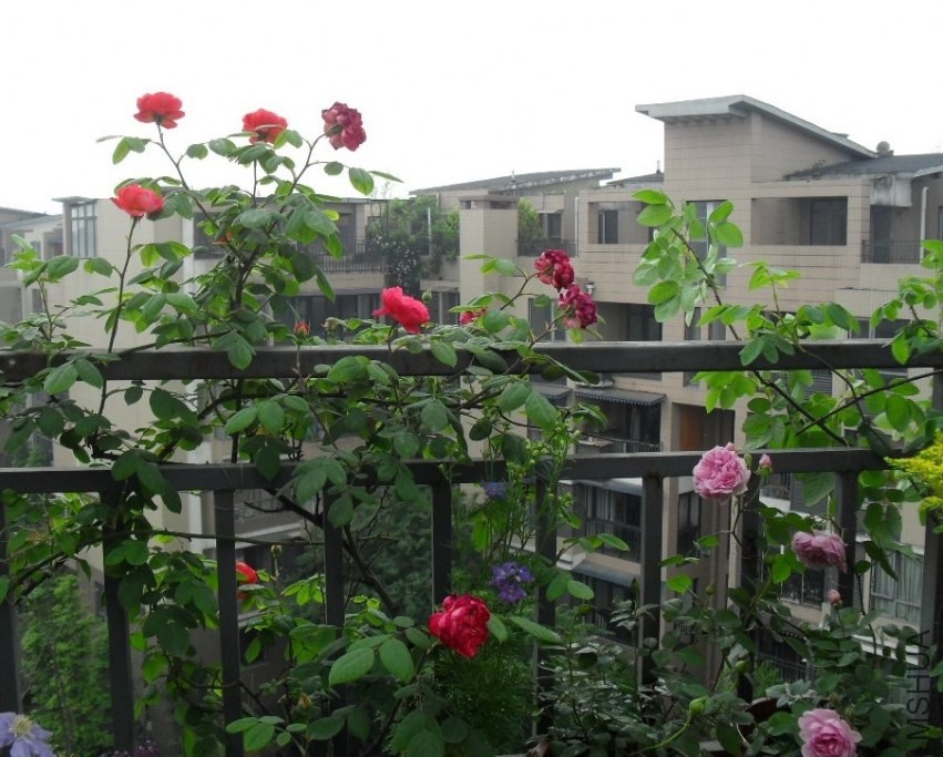 QQͼƬ20140421210455.jpg