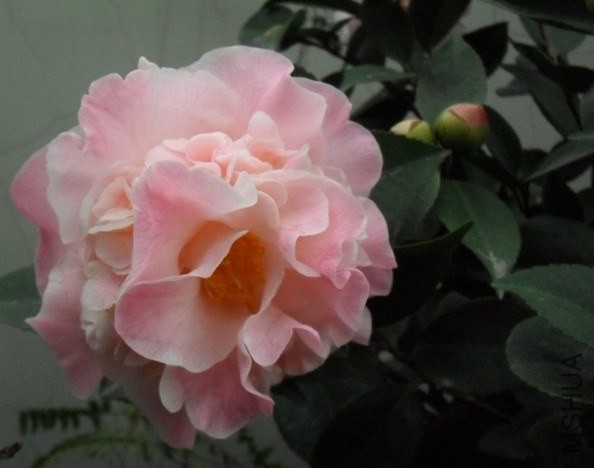 QQͼƬ20140421220333.jpg