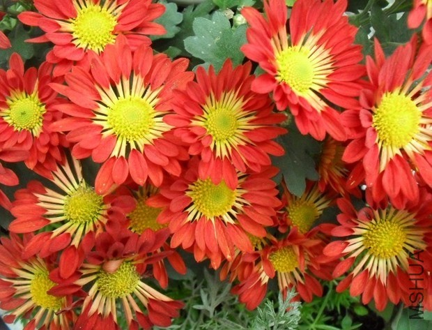 QQͼƬ20140421220431.jpg