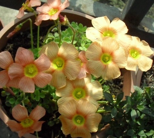 QQͼƬ20140421220457.jpg