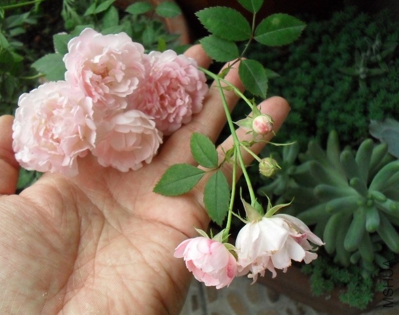 QQͼƬ20140421224302.jpg