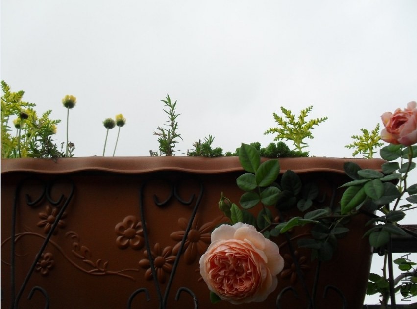 QQͼƬ20140421210523.jpg