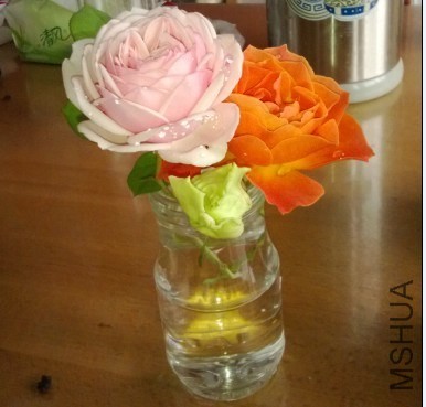 QQͼƬ20140421225711.jpg