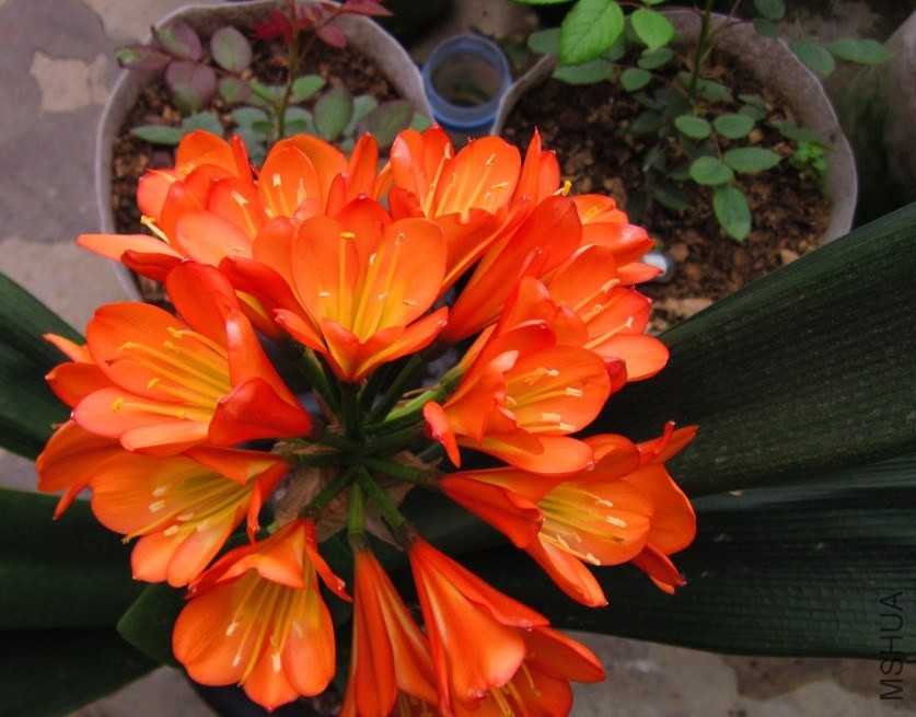 QQͼƬ20140422085842.jpg