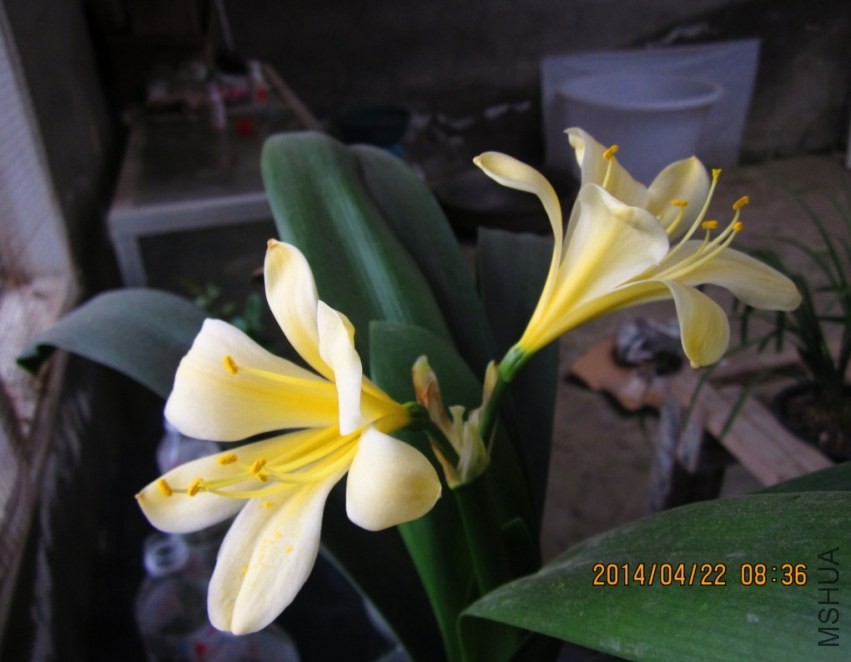 QQͼƬ20140422085850.jpg