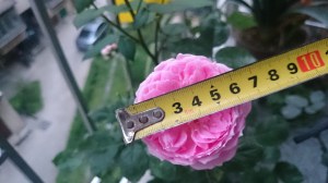 ����6���ף��մ��