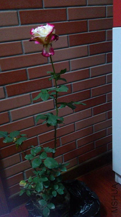 QQͼƬ20140422111554.jpg
