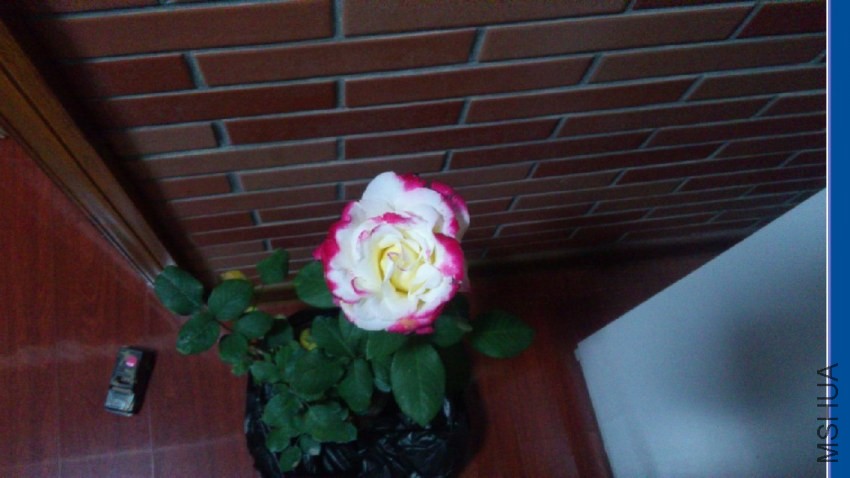 QQͼƬ20140422111613.jpg