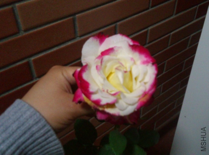 QQͼƬ20140422111710.jpg