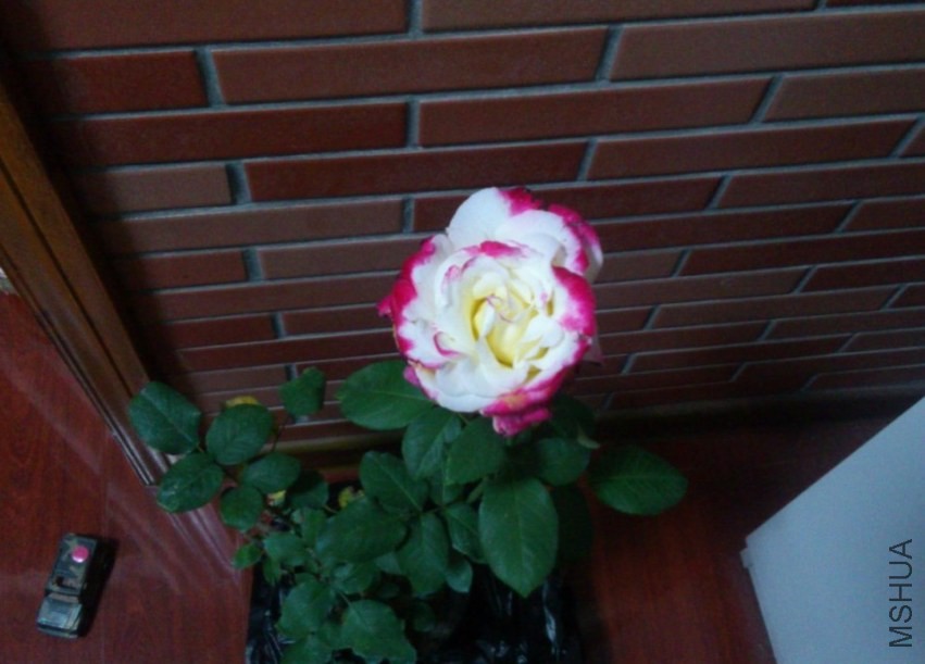 QQͼƬ20140422112113.jpg