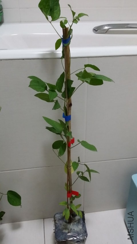 20140421_204714.jpg