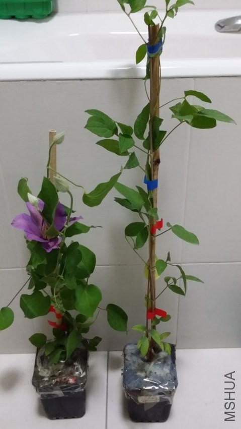 20140421_204730.jpg