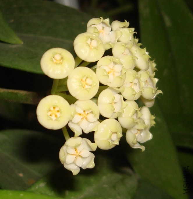 QQͼƬ20140422085237.jpg