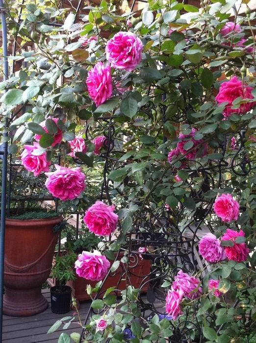 ������С ��ת ��Ƭ 009.jpg