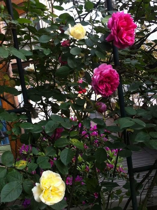 ������С ��ת ��Ƭ 016.jpg