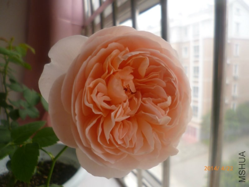 2345_image_file_copy.jpg