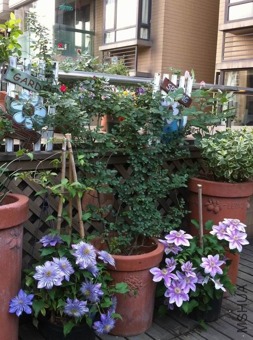 ��Ȫ �۷�.jpg