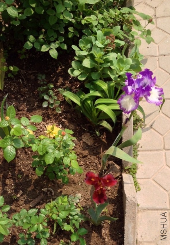 psb (91).jpg